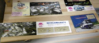 Tsukuba EXPO bus ticket